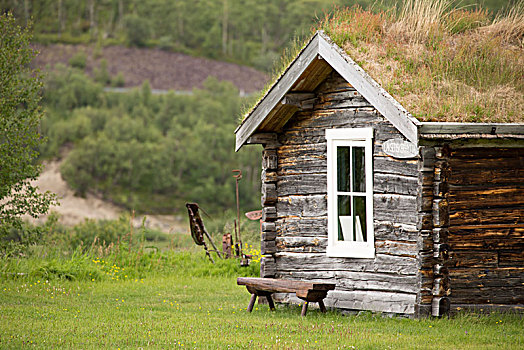 草,屋顶,房子,挪威