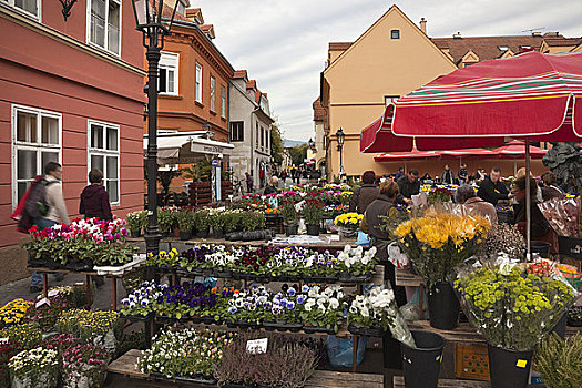 花市,萨格勒布,克罗地亚