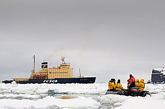 南极,岛屿,黄道十二宫,尝试,背影,俄罗斯,破冰船