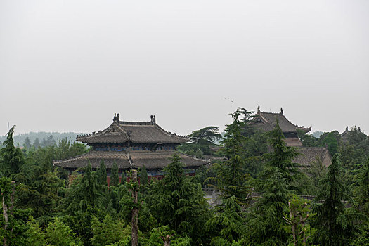 白马寺