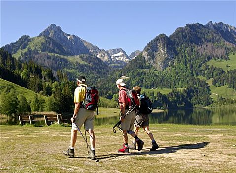 开端,远足,旅游,阿尔卑斯山,瑞士