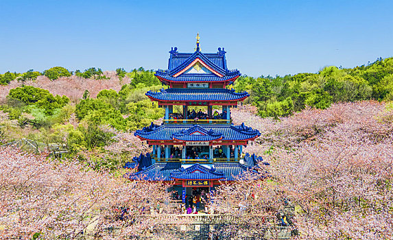 航拍江苏省无锡太湖鼋头渚赏樱楼,蠡湖渤公岛