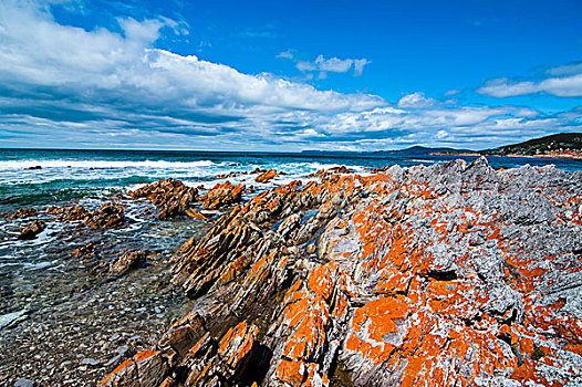 海岸,岩石,岬角,国家公园,塔斯马尼亚