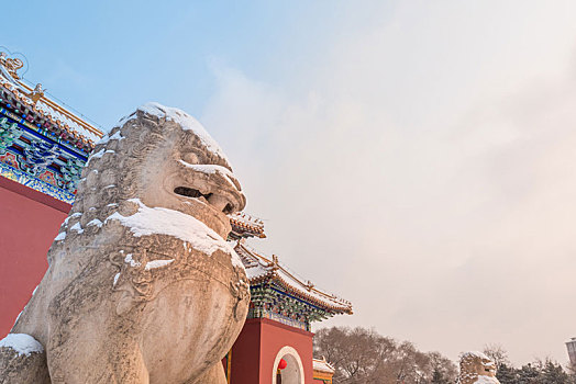 雪后清昭陵的石狮子特写
