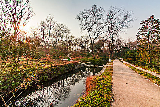 南京中山植物园景观