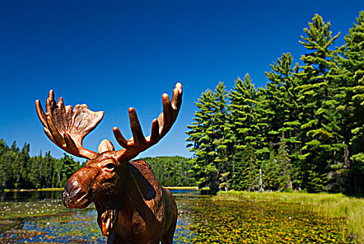 玩具,驼鹿,海狸塘,小路,阿尔冈金省立公园,安大略省