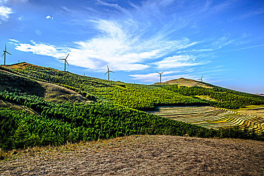 草原天路,中国66号公路,张家口,河北省,崇礼县,桦皮岭,野狐岭