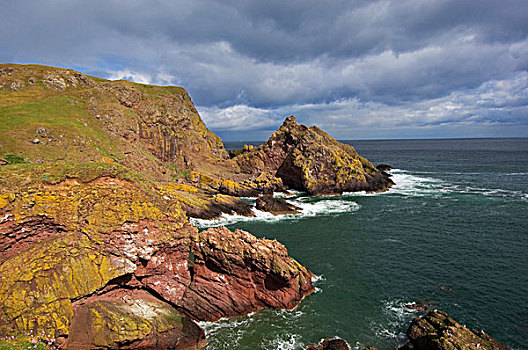 头部,悬崖,鸟类保护区,苏格兰边境,苏格兰,英国,欧洲