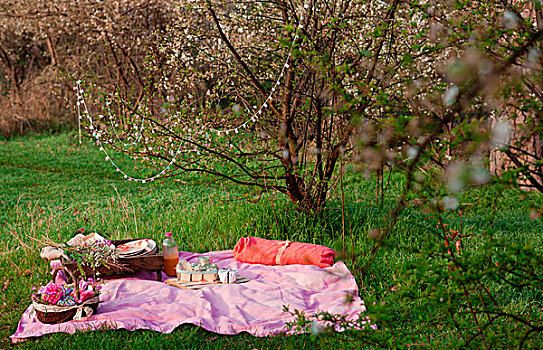 粉色,野餐篮,草