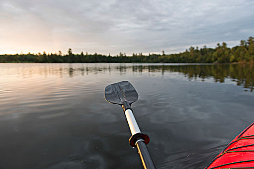 桨,上方,水,湖,木头,安大略省,加拿大