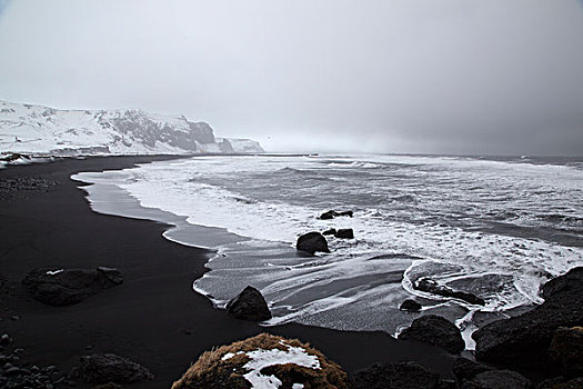 海浪,海岸,南方,区域,冰岛,欧洲