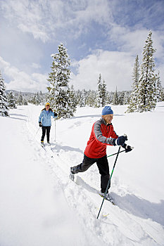 伴侣,越野滑雪,布莱肯里奇,科罗拉多,美国