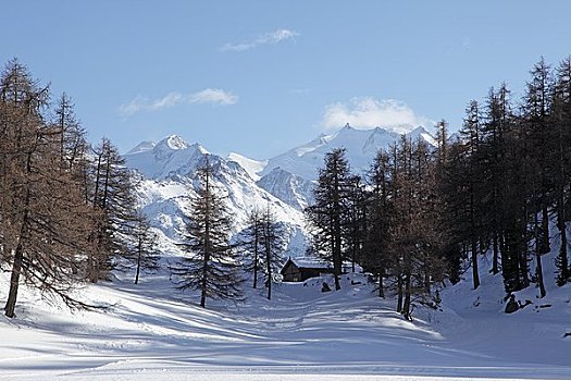 山,阿尔卑斯山,瓦莱,瑞士