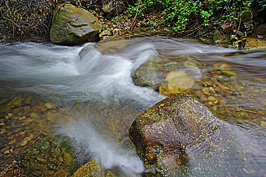 山水,溪流,流水,绿树