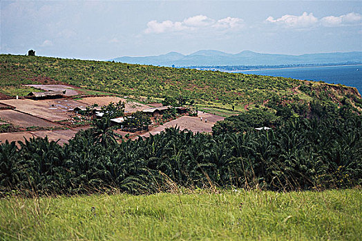坦桑尼亚,俯视图,渔村,大幅,尺寸