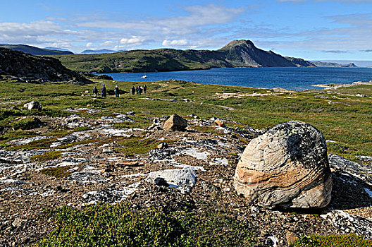 苔原,湾,峡湾,山峦,国家,公园,纽芬兰及拉布拉多,加拿大