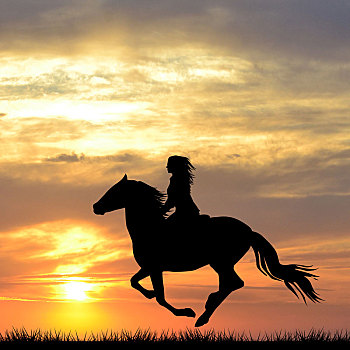 黑色,剪影,女人,骑马,日出