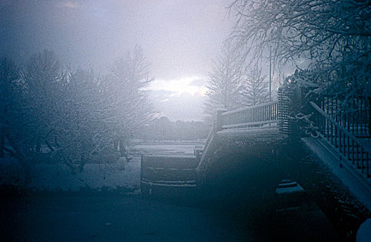雾状,冬季风景