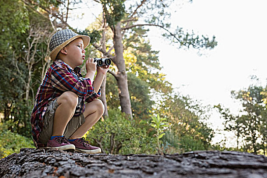 男孩,坐,树干,双筒望远镜,树林