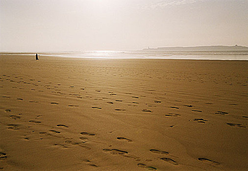 摩洛哥,苏维拉,沙滩,脚印,逆光,非洲,非洲西北部,海洋,大西洋,海滩,沙子,轨迹,人,贝多因人,孤单,黃昏