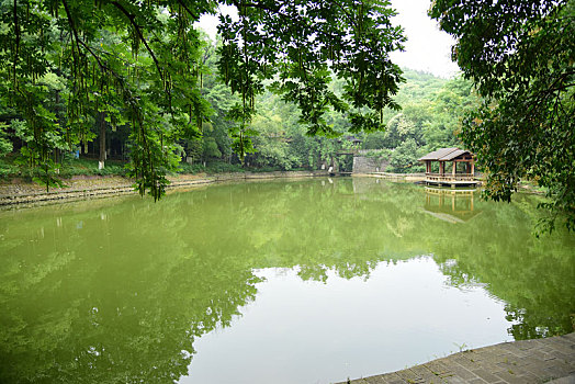 中国江苏省无锡市宜兴市善卷洞风景区绿树绿水风景