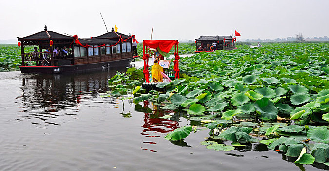 中国•淮阳荷花节