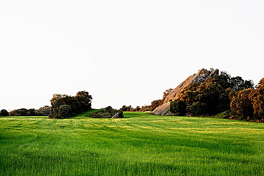 草场,岩石构造,韦斯卡,西班牙