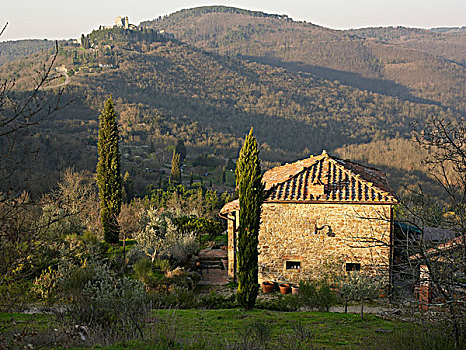 石头房子,随着,瓦屋顶,柏树,丘陵的背景,瓦尔狄网,托斯卡纳,意大利