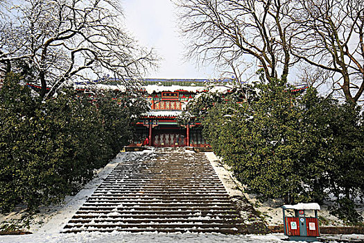 南京灵谷寺景区雪景