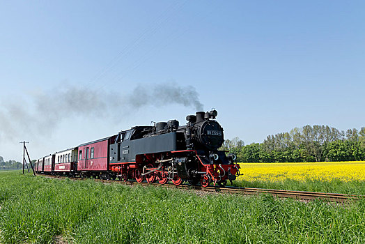 火车头,梅克伦堡前波莫瑞州,德国,欧洲
