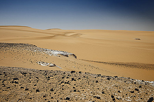 利比亚沙漠,靠近,绿洲,埃及,非洲