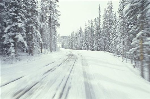 动态,驾驶,积雪,道路,卡纳纳斯基斯县,加拿大,艾伯塔省