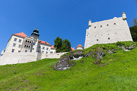 14世纪,防护,城堡,靠近,克拉科夫,波兰