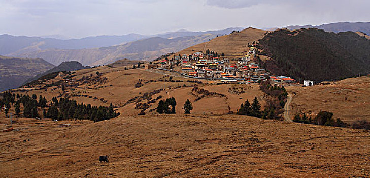 马尔康大藏寺