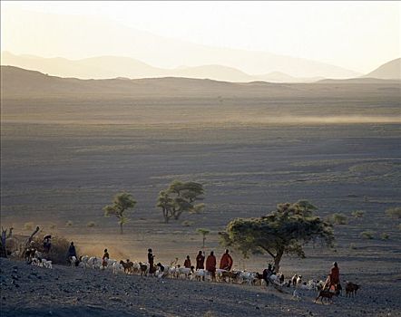 场景,非洲村寨,家园,白天,干燥,局部,坦桑尼亚北部,南,湖