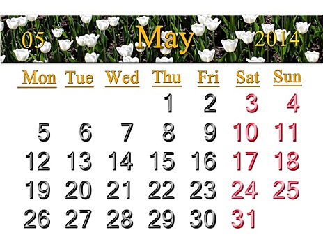 日程,五月,郁金香,花坛