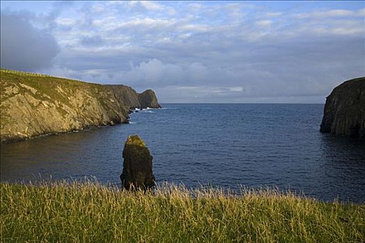 悬崖,海岸,湾,多纳格,阿尔斯特省,爱尔兰