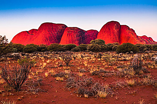 奥加斯石群,卡塔曲塔,乌卢鲁卡塔曲塔国家公园,北领地州,澳大利亚