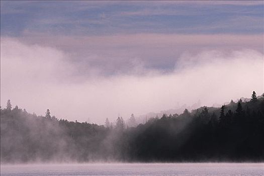 薄雾,上方,湖,阿尔冈金省立公园,安大略省,加拿大