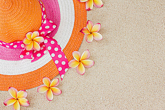 帽子,鸡蛋花,花,夏天,海滩,概念