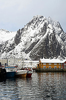 风景,港口,雪山,罗浮敦群岛,挪威