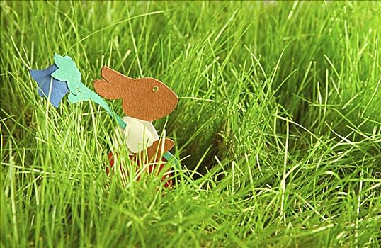 复活节兔子,跑,草丛
