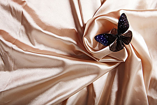 丝绸,蝴蝶