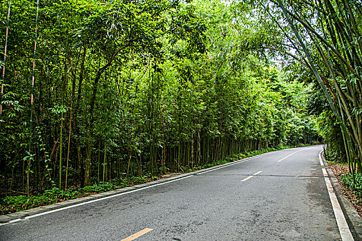 贵州省荔波县小七孔风景区公路