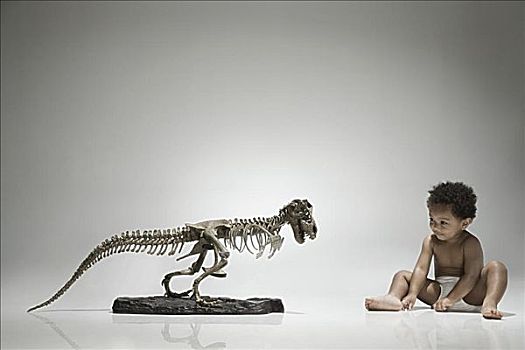男孩,恐龙,骨骼