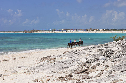 骑马,海滩,拉哥岛,古巴