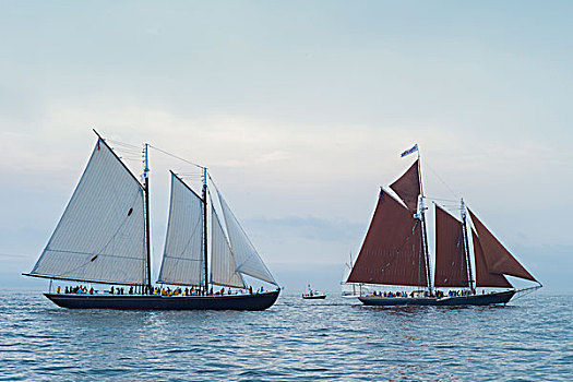 马萨诸塞,纵帆船,节日,港口