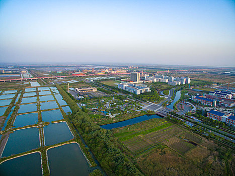 慈溪,杭州湾新区,杭州湾,航拍,水田,早晨,阳光,滩涂