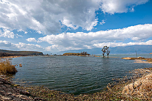 云南大理海东镇洱海湿地