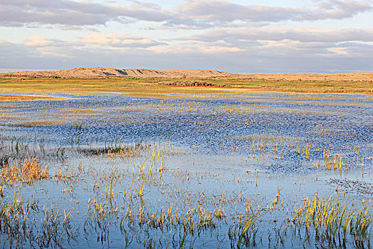 布尔津湿地